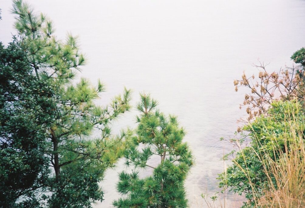 Hypnotherapy with Kirsty